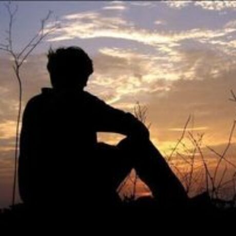 Profile picture of Fery