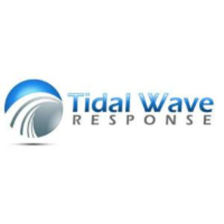 Profile picture of Tidal Wave Response